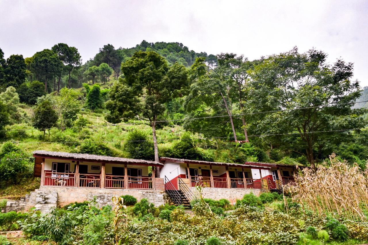Solid Rock - Lodge&Restaurant Pharping Exterior foto